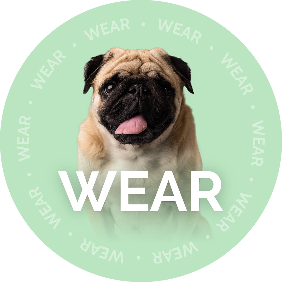 Woofforia_Categories_Wear_Clothing