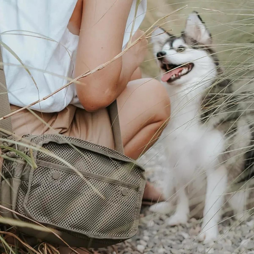 Dog walking bag