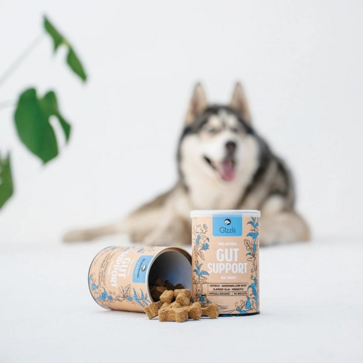 Dog Treats For Gut Support- 100% Natural