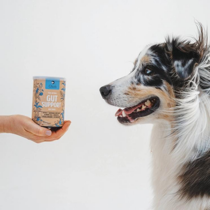 Dog Treats For Gut Support- 100% Natural