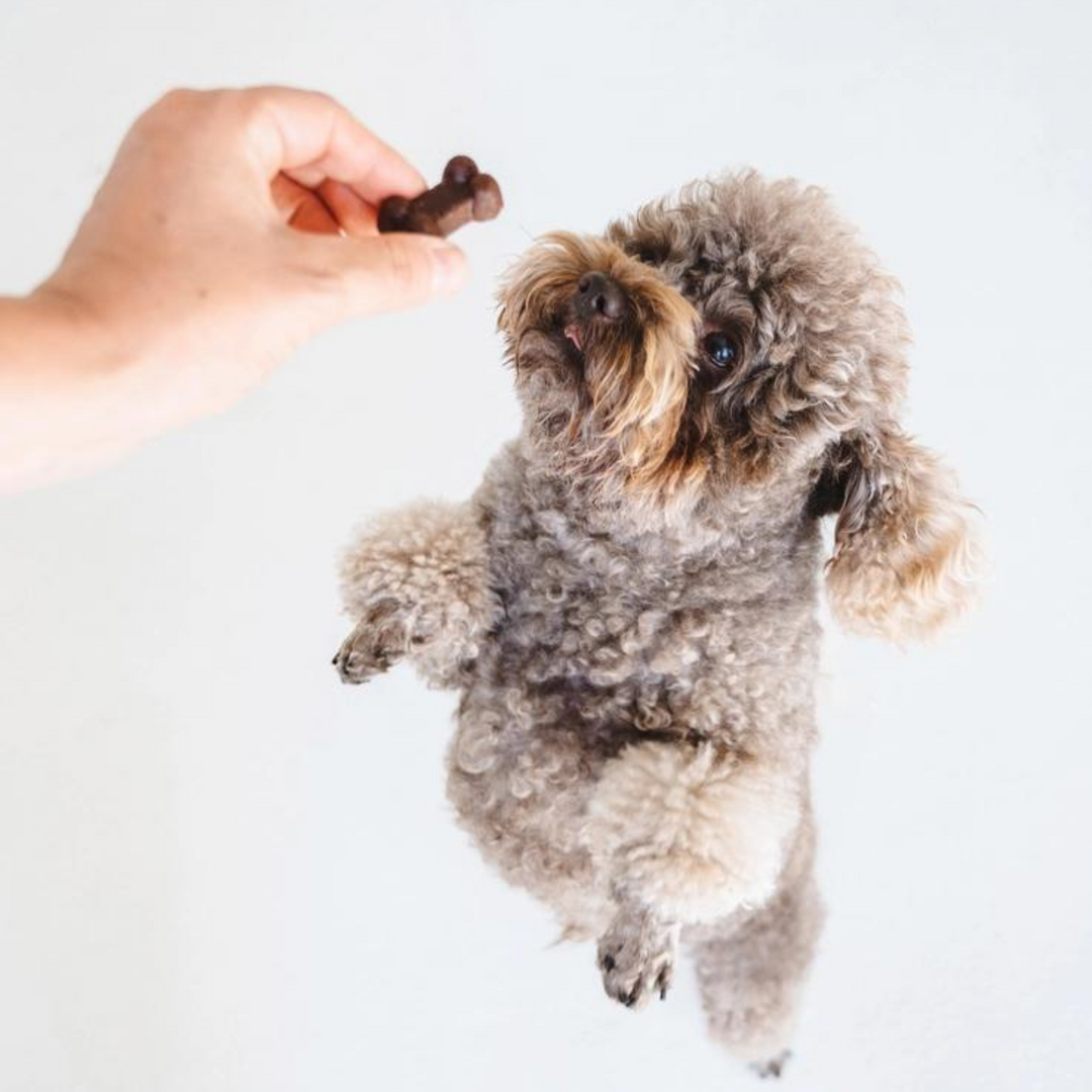 Peanut Butter & Banana Chewy Dog Treats