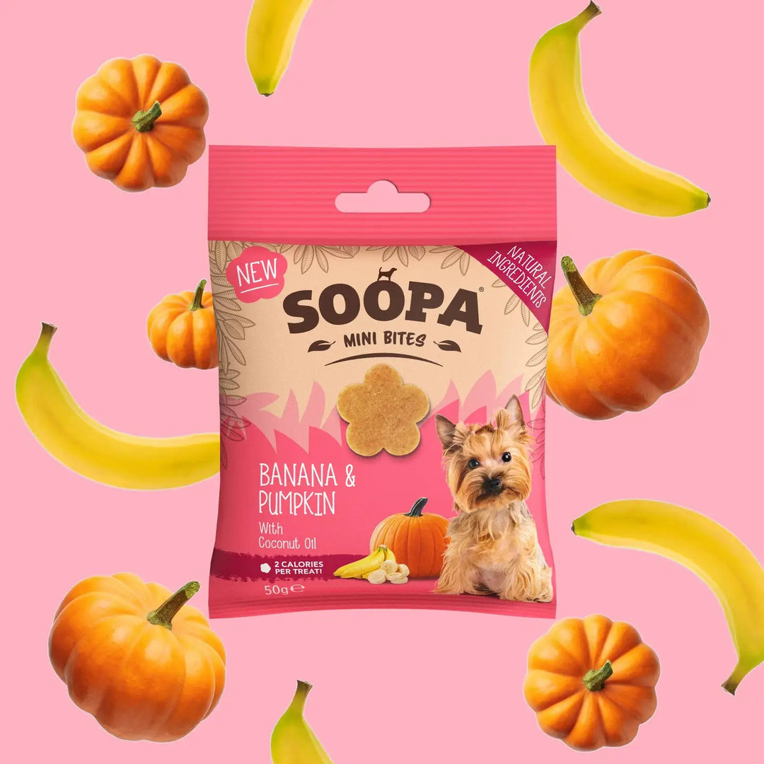 Soopa Treats- Banana & Pumpkin Mini Bites